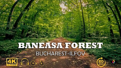 BANEASA Forest, Bucharest - Ilfov | Techno music | 4k Virtual Tour | 🇷🇴