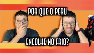 Por que o peru encolhe no frio? - Emerson Martins Video Blog 2022