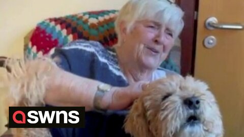 Sweet moment UK care home resident is reunited with her dog