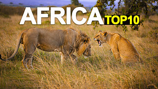 Amazing Things To Do in Africa | Top 10 Best Things To Do in Africa - Travel Guide