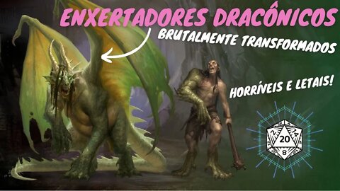 ENXERTADORES DRACÔNICOS - CUIDADO COM O QUE VOCÊ QUER! - Dragões do Fizban.🐲