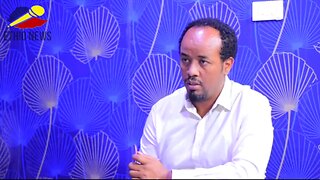 ደሴ፣ ወልዲያ፣ ጎንደር፣ ወግዲ እና ደብረሲና - የአሁን መረጃዎች