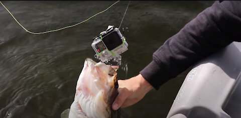 How to catch fish: Go pro on fishing lure