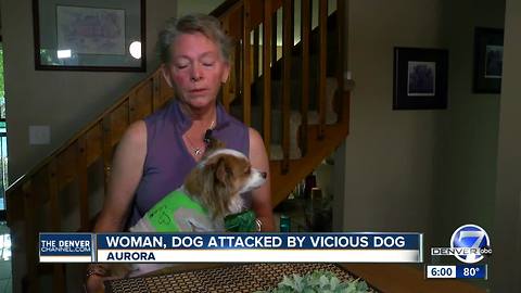 Aurora Dog Attack