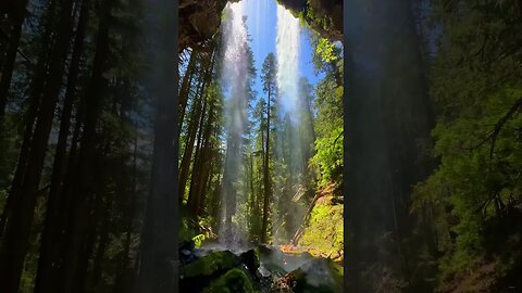 Grotto Falls, Oregon, USA #oregon #travelusa #shorts