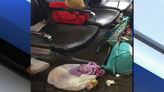 Search for girl's stuffed animal lost in FLL airport rampage