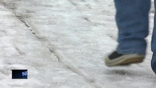 NEW Zoo welcomes visitors for snowy Easter fun