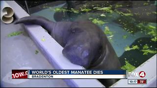 Snooty the Manatee Dies at 69