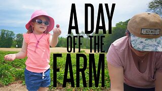 A Fathers Day Farm Vlog