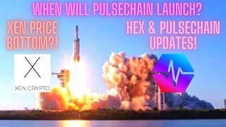 When Will Pulsechain Launch? XEN Price Bottom?! Hex & Pulsechain Updates!
