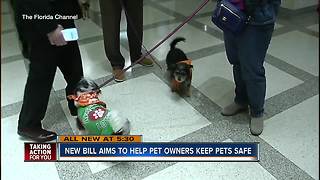 House Bill wants to help lost pets in times of natural disasters