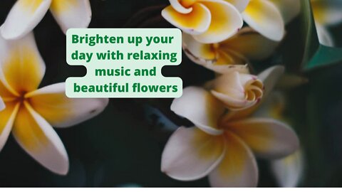 Rest and sleep with beautiful flowers listening to happy relaxing music