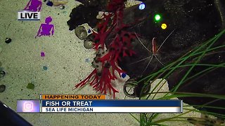 Fish Or Treat At SEA LIFE Michigan