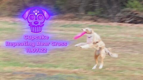 CupCake Does Her Forms | Repeating Rear Cross - Nov 7, 2022