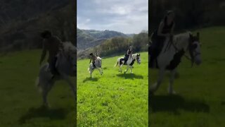 Galloping Horses in Italy