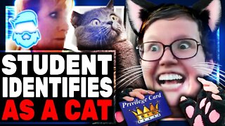 Teacher FIRED For Not MEOWING...Yes Really! Woke Schools Strike Again!