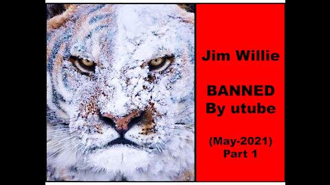 Jim Willie - BANNED by utube - May -2021- Part-1