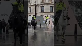 Police horse not with it #horseguardsparade