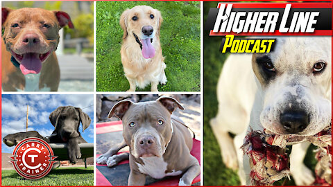 The Canine Connection | Higher Line Podcast #150