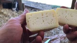 Experiments In Aging Cheeses Without Cheese Cave/Refrigeration!?