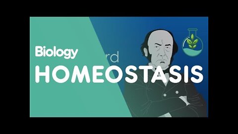 What is Homeostasis? | Physiology | Biology | FuseSchool