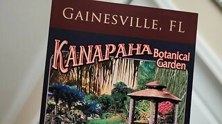 Homeschool day trip #botanicalgarden #nature #gainesvilleflorida #trails