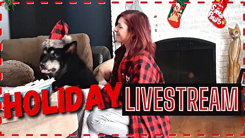 Holiday Livestream!🎄