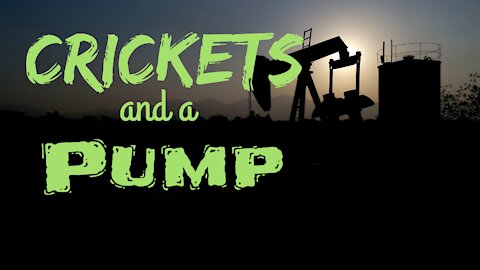 Crickets and a Pump | 15 Minutes of Twilight | Ambient Sound | What Else Is There?