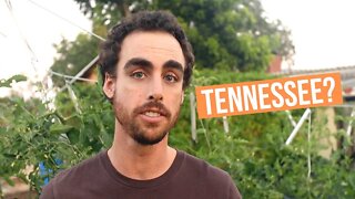 Should I Move to Tennessee? Channel Update