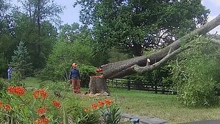 Jacking Over a Black Cherry