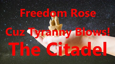 Freedom Rose Cuz Tyranny Blows