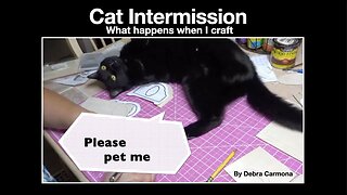 Cat Intermission when I am Crafting