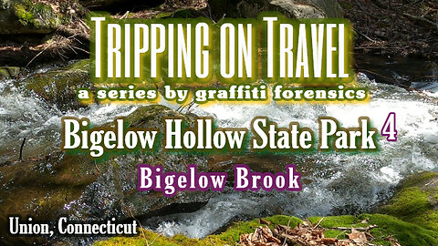 Tripping on Travel: Bigelow Hollow State Park, pt 4, Union, CT