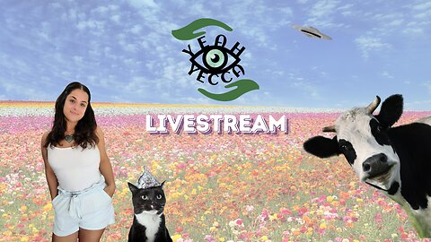 Women's Hormone Health - Yeah Yecca Livestream