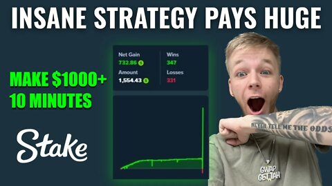 $100 TO $1000 In 15 Minutes on STAKE! INSANE Strategy Challenge