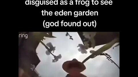 Me going back in time disguised as a frog to see the garden of Eden