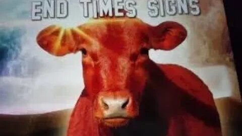 URGENT MESSAGE THE RED HEIFER STORY WITH DIXIE! AS IT WAS IN THE DAYS OF LOT & COVENANT WITH MANY!