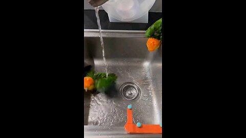 Parrots enjoying a bath on a hot day
