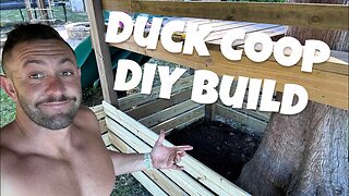 I’m Building a Duck Coop - DIY - But, I need Your Help!