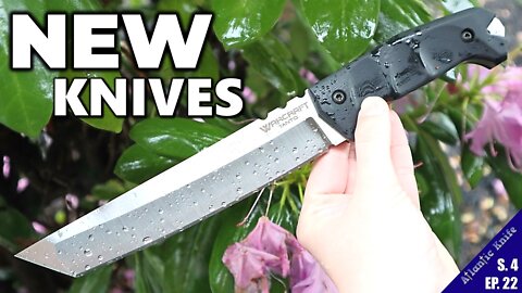 NEW Knives | Fixed & Folders Cold Steel Maxace + More | AK Blade Shieldon Month GAW