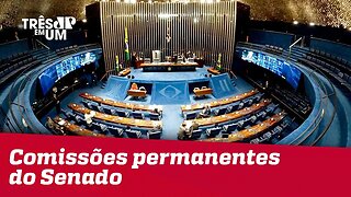 Senado define presidentes para comissões permanentes da Casa