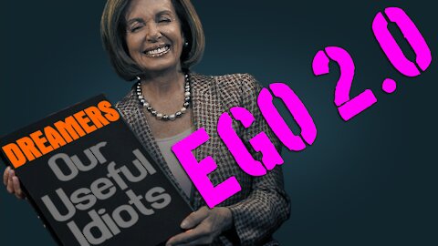 EGO 2.0: Immigrants: A Liberal’s Useful idiot | Undocumented Sanity (2017)