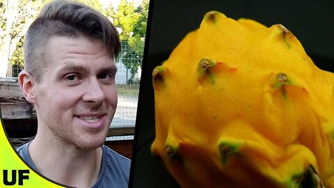 Yellow Dragon Fruit Taste Test | Unusual Foods