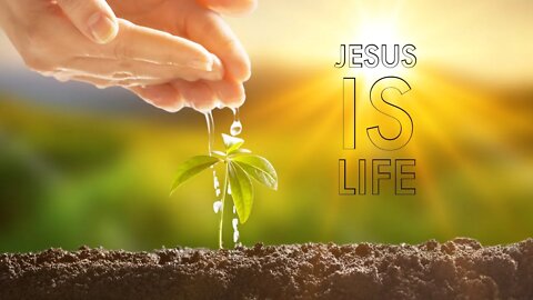 Jesus is Life (audio fixed)