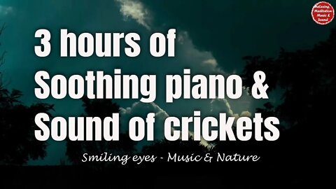 Soothing music with piano and crickets sound for 3 hours, ambient music for sleep & focus