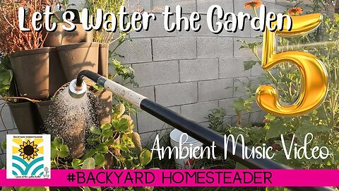 Lets Water The Grass Ambient Music Video No 5