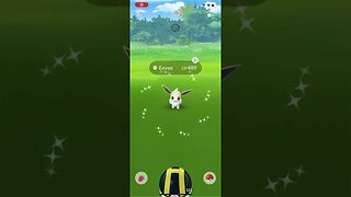 Shiny Compilation