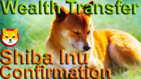 Shiba Inu Confirmation 🦊 Wealth Transfer 🦊 $SHIB 🦊 #SHIB 🦊 #ShibaInu