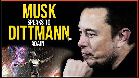 Musk Dittmann And The Media! X Is Not Free Speech!