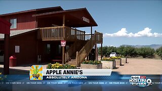 Apple Annie's still fruitful after more than 40 years in Willcox